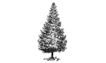Taiwan Destination Management Company