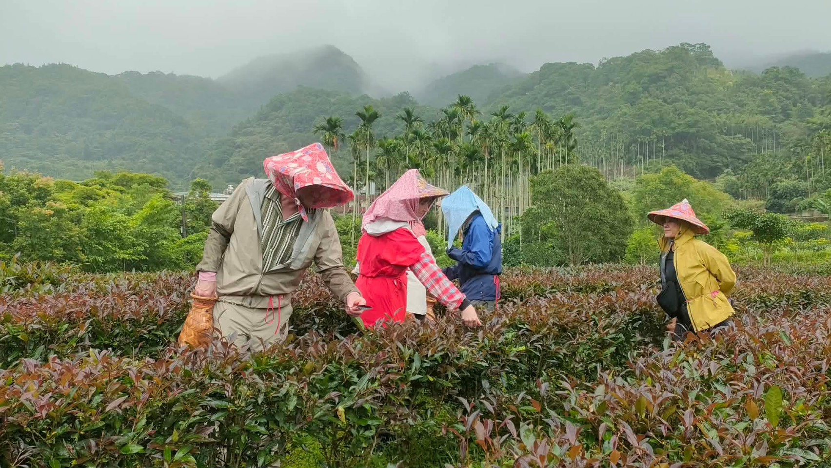 Food and tea experiences in Taiwan