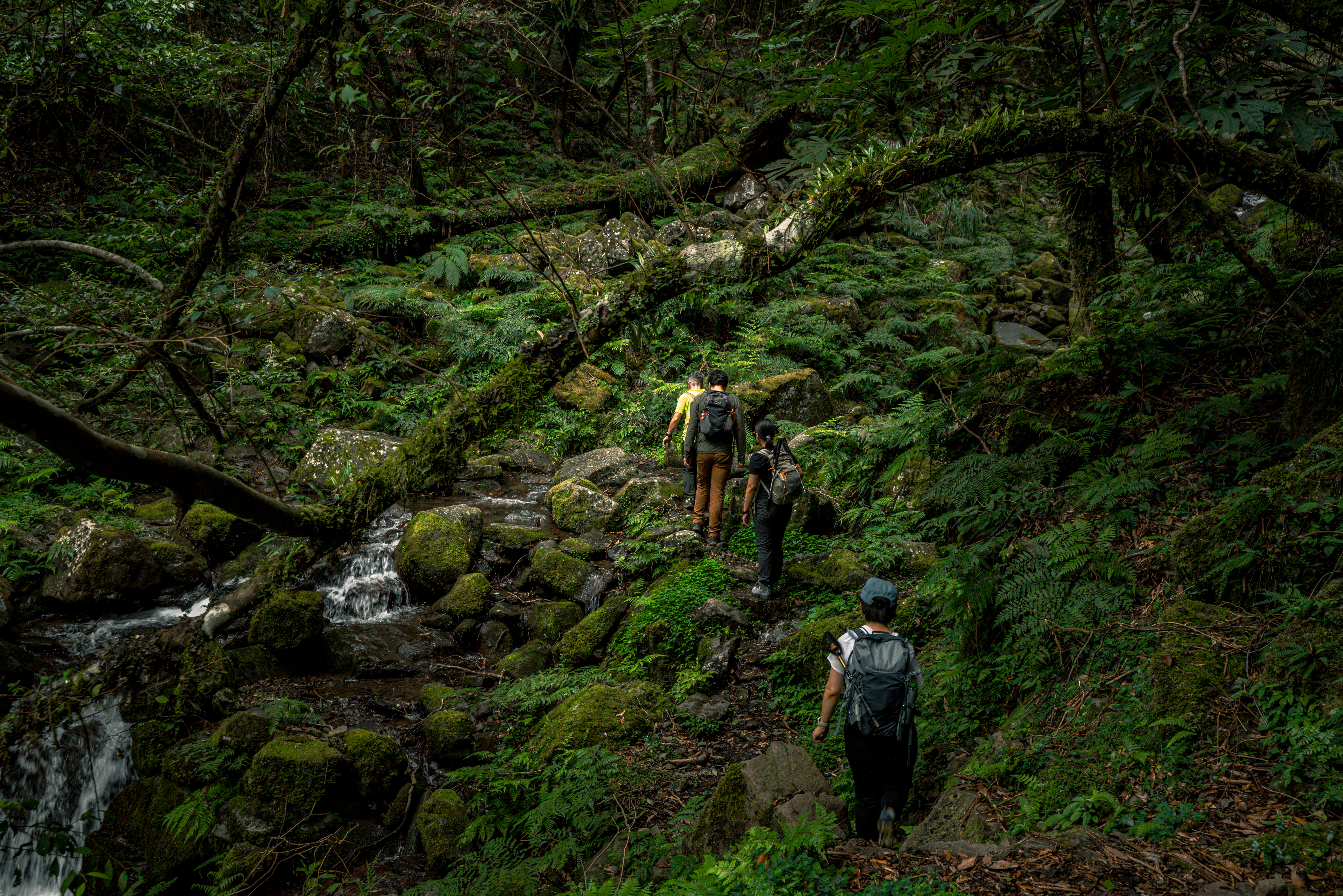 Taiwan forests, coastlines and natural landscapes